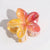 Women's Vacation Minimalist Flower Plastic Hair Claws