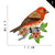 Yuanda Embroidered Cloth Stickers Exquisite Bird Patch Factory Straight Hair Computer Emboridery Label Clothing Accessories Patch